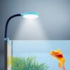 51RlUX5vZQL._SL1000_ Aquarium Lamp 2.5 Watt - Aquarium Lights for Fish Tank