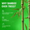Bamboo Toilet Tissue Rolls | 3-ply, 1920 Pulls (160 x 12 Rolls)