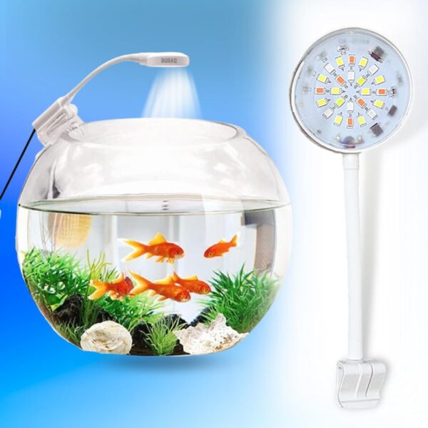 61TKLrNMiJL._SL1000_ Aquarium Lamp 2.5 Watt - Aquarium Lights for Fish Tank