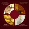 6_11400f1a-0ad5-4342-a5a8-ed40b70670b6.jpg Batua Pocket Lipstick - Mauve Mantra (Mauve) Rich Satin Finish With In-built Mirror