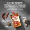 Kissan Teekhi Lehsun Mirch Chutney (200g)