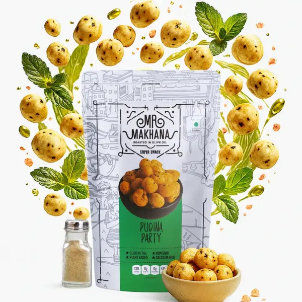 Mr Makhana Pudina Party (55g)