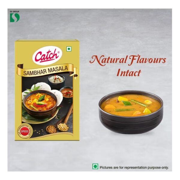 Catch Sambhar Masala (100g)