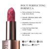 Version 1.0.0 LOVETC Satin & Matte Lipstick Combo Set, Show Stopper & Gossip Glow 4.2g