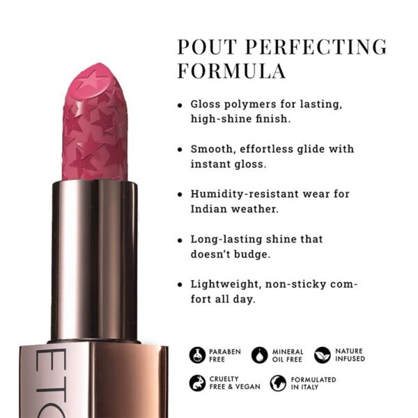 Version 1.0.0 LOVETC Satin & Matte Lipstick Combo Set, Show Stopper & Gossip Glow 4.2g