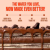 SuperYou Chocolate Protein Wafer Bars (Pack of 10)|10g Protein, 3g Fiber, No Added Sugar|Yeast Fermented Protein|Energy Bars|Crunchy Wafer Bar|100% Vegetarian|No Palm Oil|400g