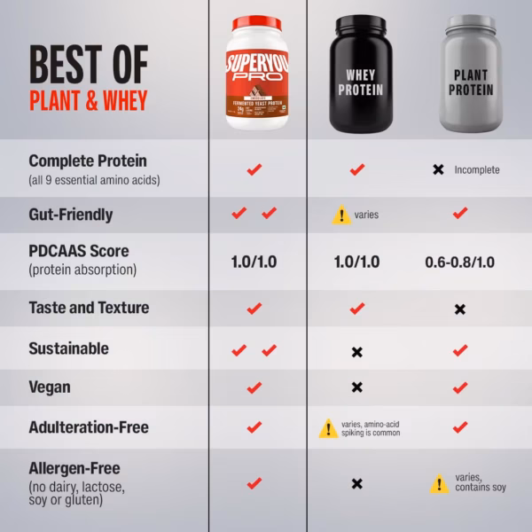 61XC26KO-mL._SL1080_ Superyou Pro Fermented Yeast Protein Isolate Chocolate 1kg | 24g Protein/Serve | Vegan, No Bloat, Heat-Stable | Easy to Digest | Gut Friendly | PDCAAS of 1