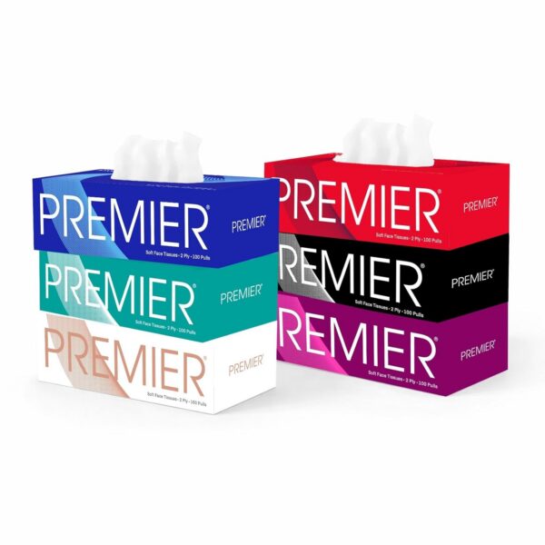 Premier Box Face Tissue Papers – 2-Ply, Ultra-Soft & Highly Absorbent Facial Tissues | 100 Pulls Per Box (Pack of 6) | Gentle on Skin, Ideal for Home, Office & Car Use