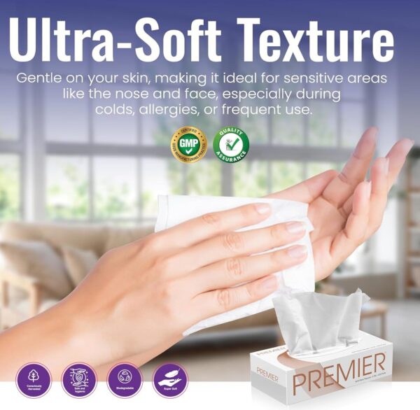 Premier Box Face Tissue Papers – 2-Ply, Ultra-Soft & Highly Absorbent Facial Tissues | 100 Pulls Per Box (Pack of 6) | Gentle on Skin, Ideal for Home, Office & Car Use