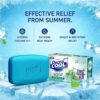 81NVcMKP7vL._SX679_ Dermi Cool Soap With The Power Of 3 Coolants - Camphor, Menthol, Thyme Oil | 99.9% Germ Protection | 125 GM Each | Pack of 5