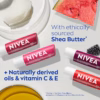 81gHbWDbN-L._SL1500_ Nivea Lip Care Fruit Variety Pack - Tinted Lip Balm For Beautiful, Soft Lips - Pack Of 4, Multicolor